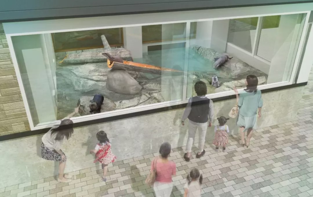 1586959568597195.jpg 2020_0303_44f25111j00q6lmil003lc000u000ixc.jpg