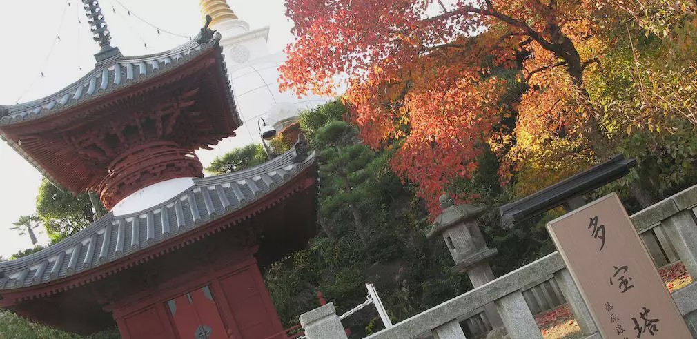 1586959581941872.jpg 2020_0303_4d4b4e4aj00q6lmiu004sc000s200doc.jpg