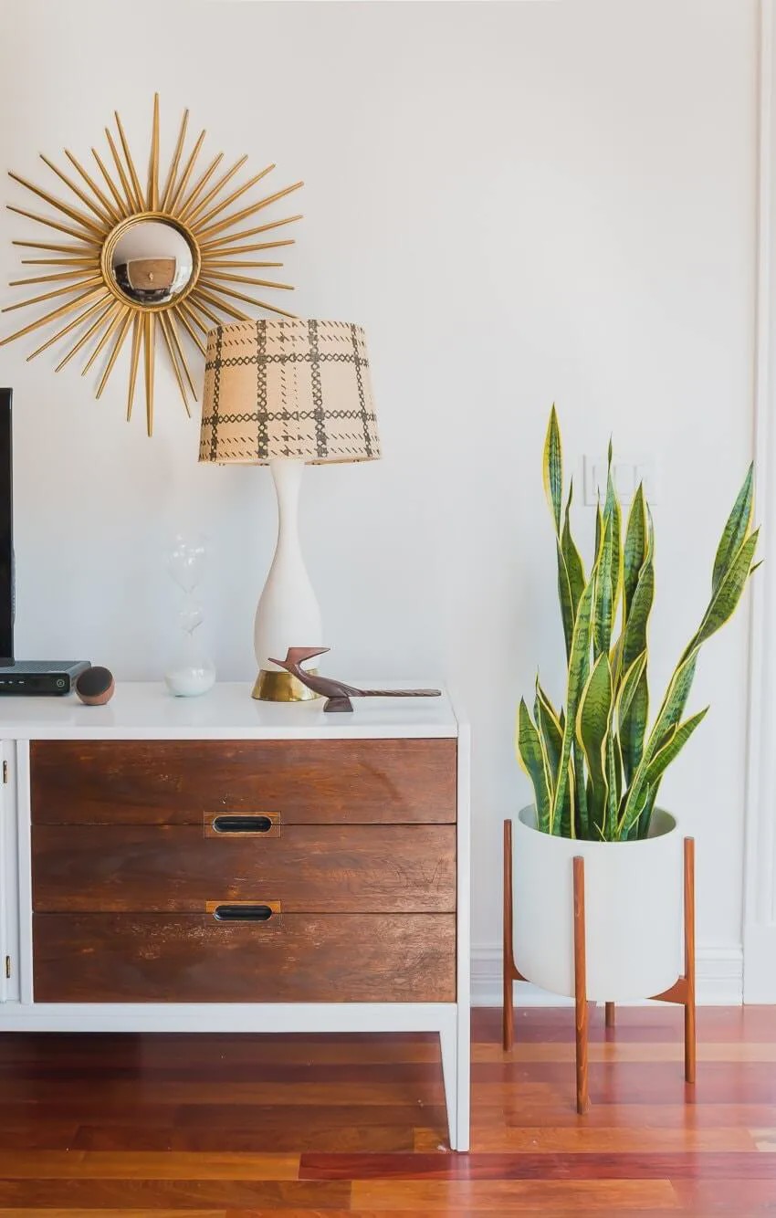 1587648987944890.jpg 6.jpg