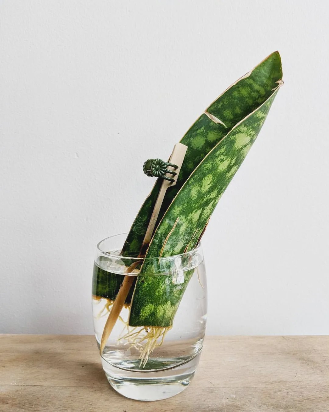 1587649055512099.jpg 8.jpg