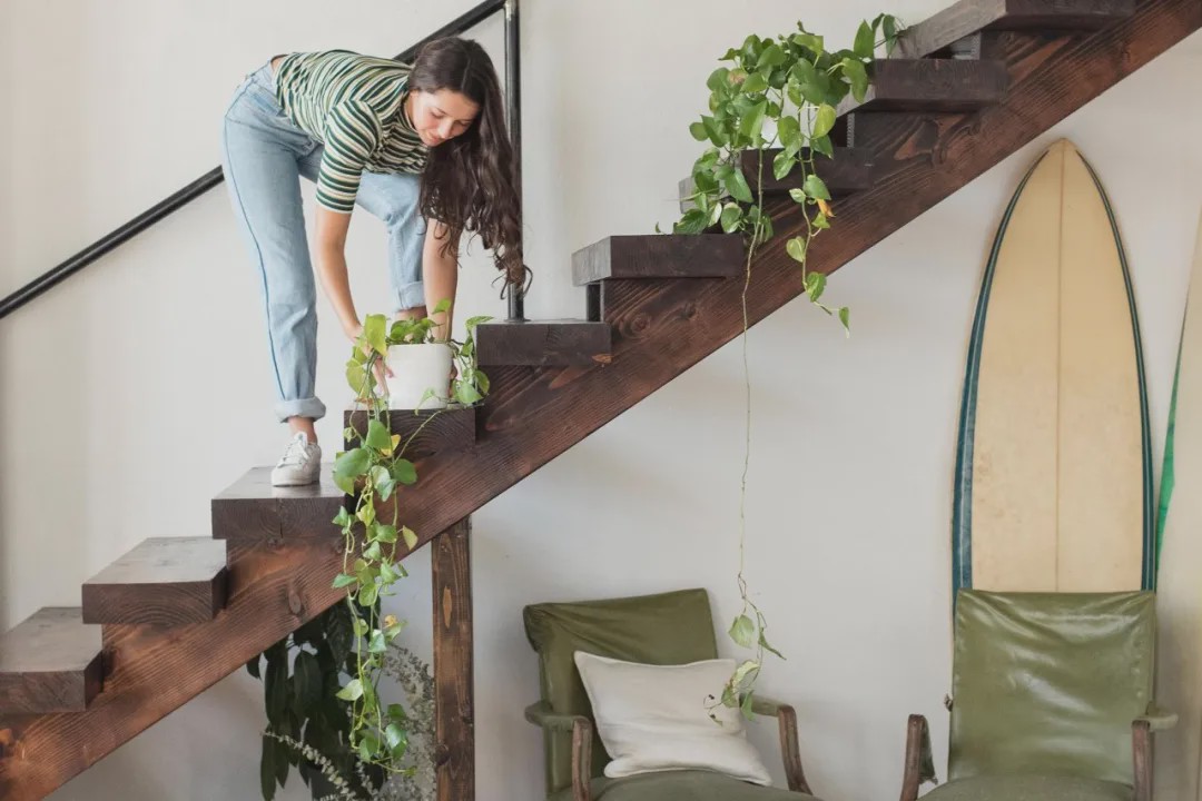 1587649076628637.jpg 9.jpg